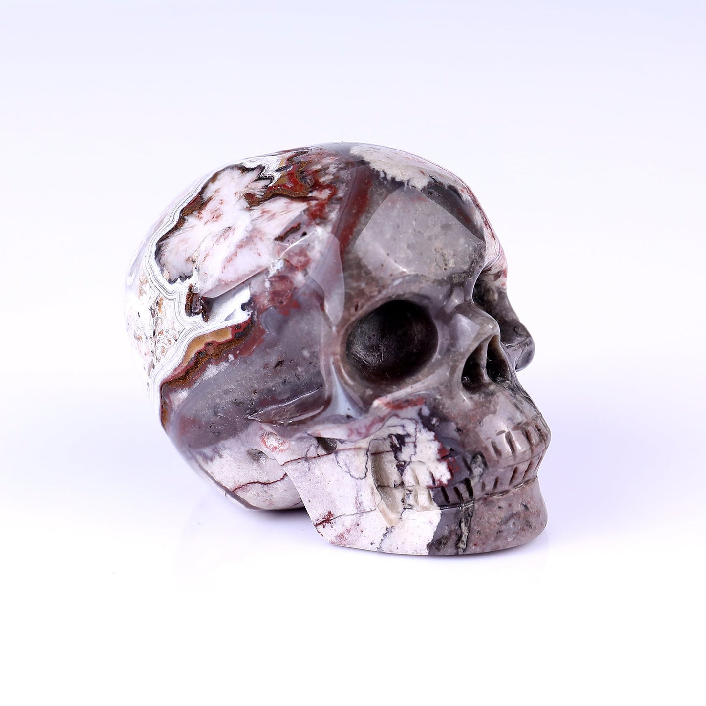 Nicedony 3.0" Red Crazy Lace Agate Hand Carved Realistic Skull - View 28