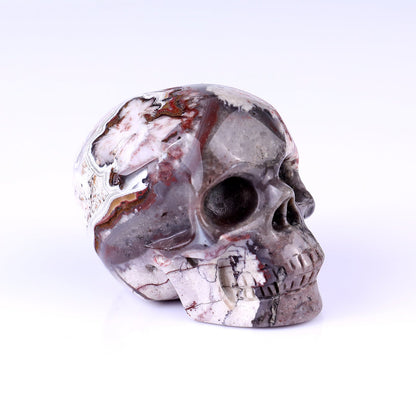 Nicedony 3.0" Red Crazy Lace Agate Hand Carved Realistic Skull - View 28