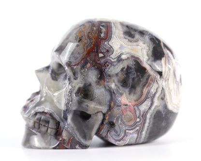 Nicedony 3.0" Red Crazy Lace Agate Hand Carved Realistic Skull - #5100093