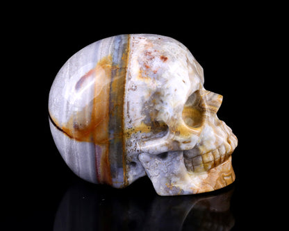 Nicedony 3.0" Red Crazy Lace Agate Hand Carved Realistic Skull - View 23
