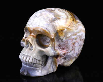 Nicedony 3.0" Red Crazy Lace Agate Hand Carved Realistic Skull - View 20