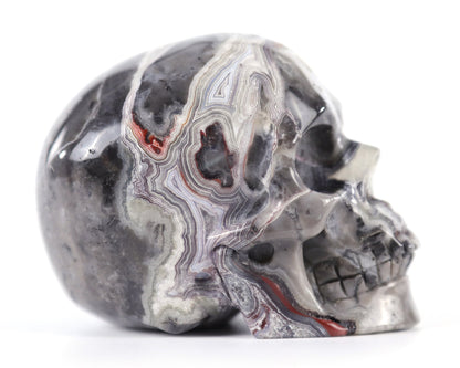 Nicedony 3.0" Red Crazy Lace Agate Hand Carved Realistic Skull - View 10