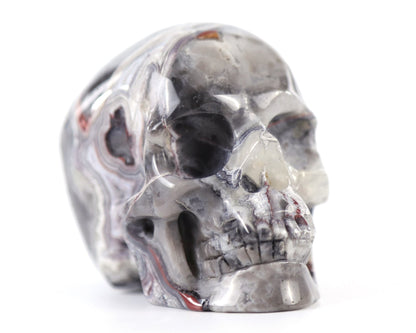 Nicedony 3.0" Red Crazy Lace Agate Hand Carved Realistic Skull - View 11