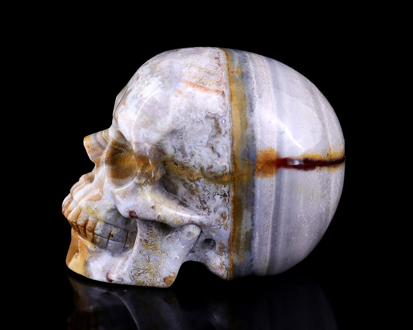 Nicedony 3.0" Red Crazy Lace Agate Hand Carved Realistic Skull - View 24
