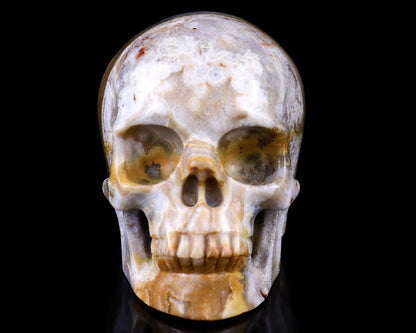 Nicedony 3.0" Red Crazy Lace Agate Hand Carved Realistic Skull - View 22