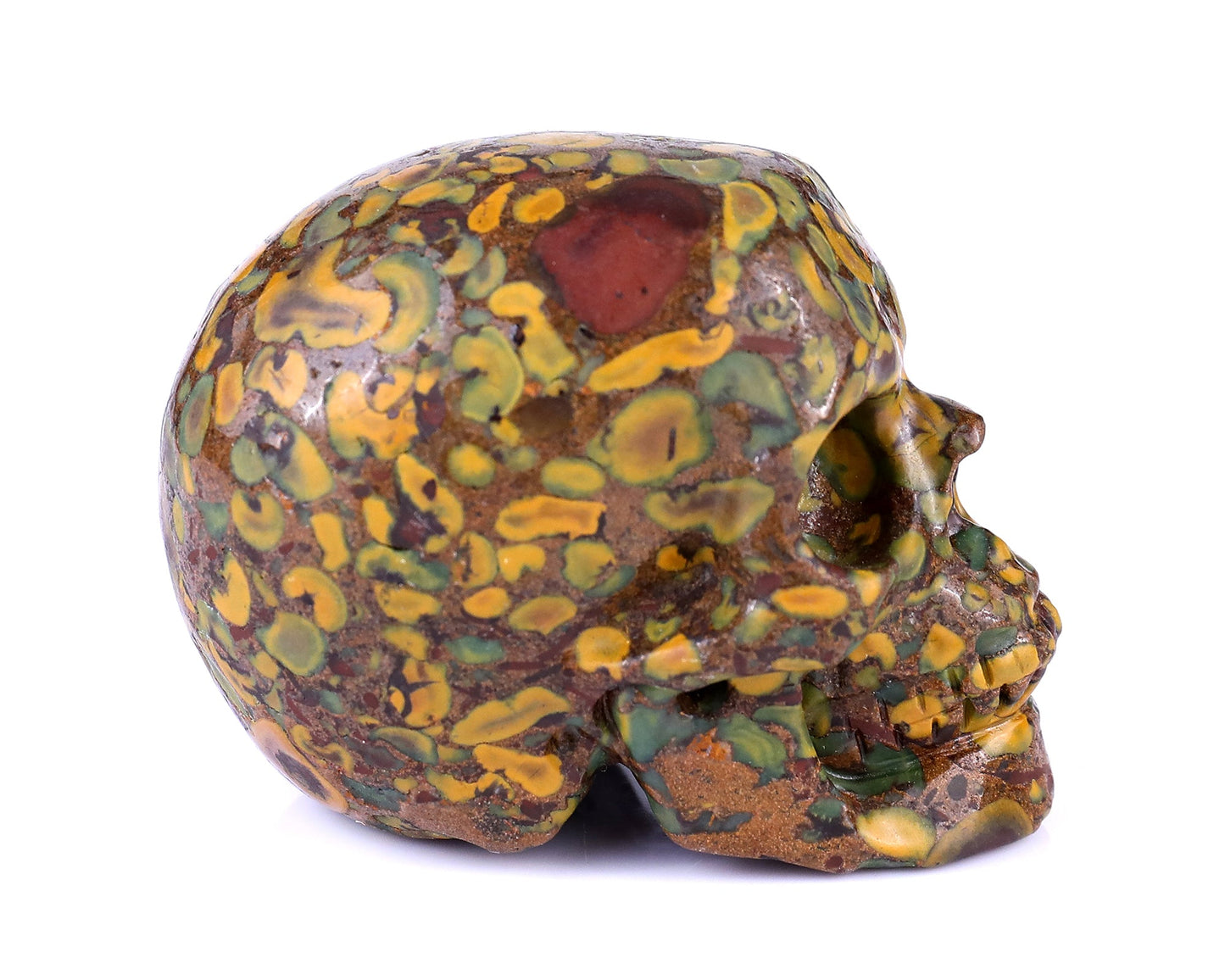 Nicedony 3.0" Roe Stone Hand Carved Crystal Realistic Skull Sculpture - View 3