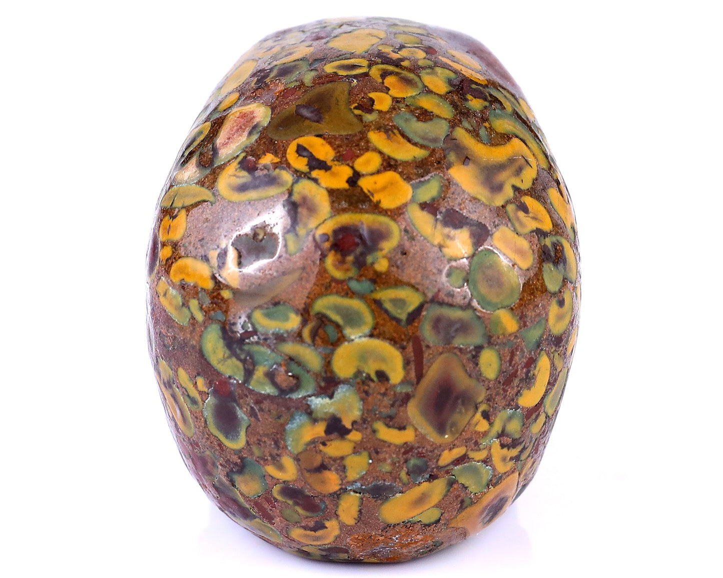 Nicedony 3.0" Roe Stone Hand Carved Crystal Realistic Skull Sculpture - View 5