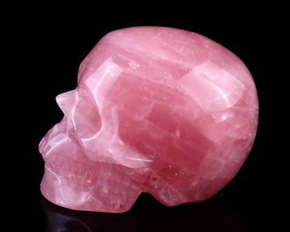 Nicedony 3.0" Rose Quartz Hand Carved Realistic Skull Sculpture - View 4