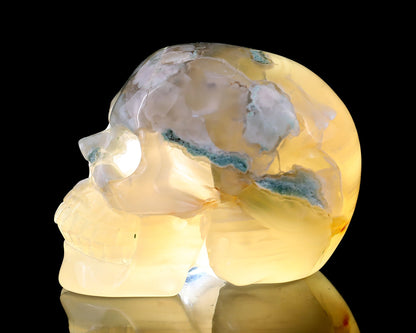 Nicedony 3.0" Sakura Agate Hand Carved Realistic Skull Sculpture - View 9