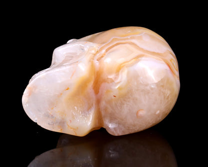 Nicedony 3.0" Sakura Agate Hand Carved Realistic Skull Sculpture - View 6