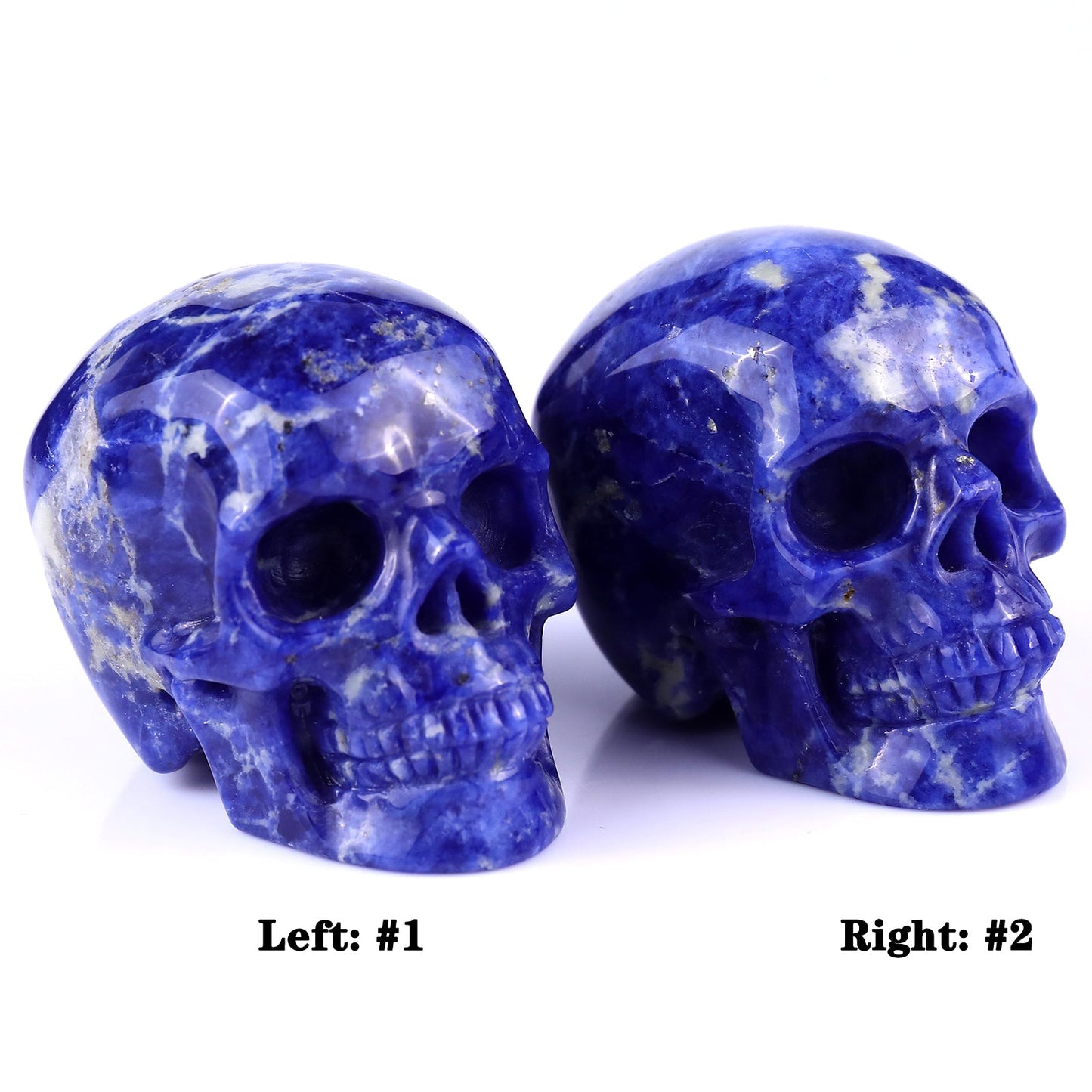 Nicedony 3.0" Sodalite Hand Carved Crystal Realistic Skull Sculpture - 2