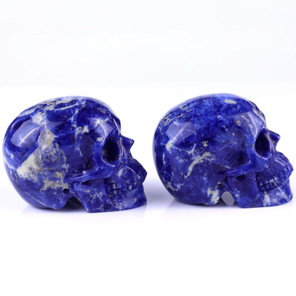 Nicedony 3.0" Sodalite Hand Carved Crystal Realistic Skull Sculpture - View 5