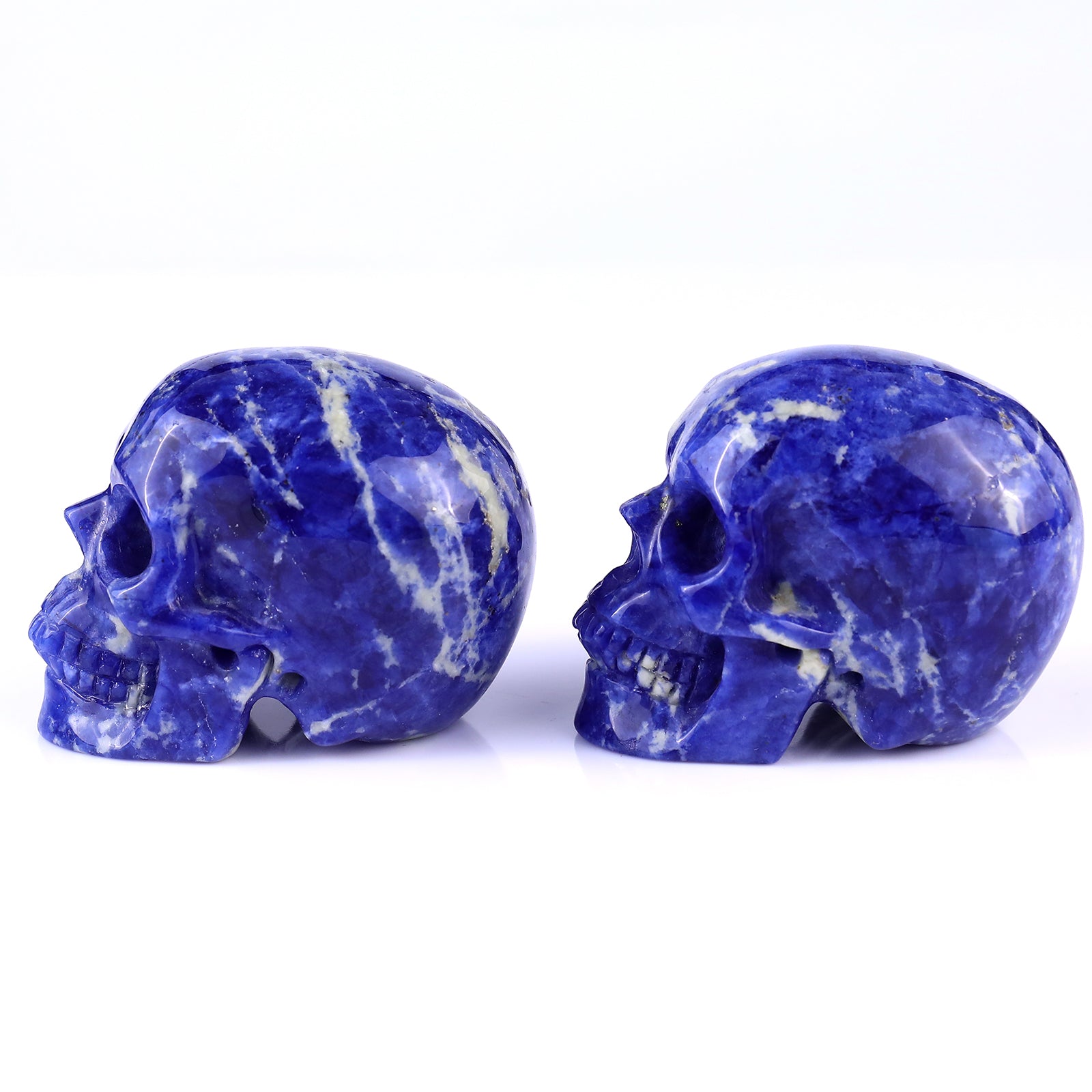 Nicedony 3.0" Sodalite Hand Carved Crystal Realistic Skull Sculpture - View 6