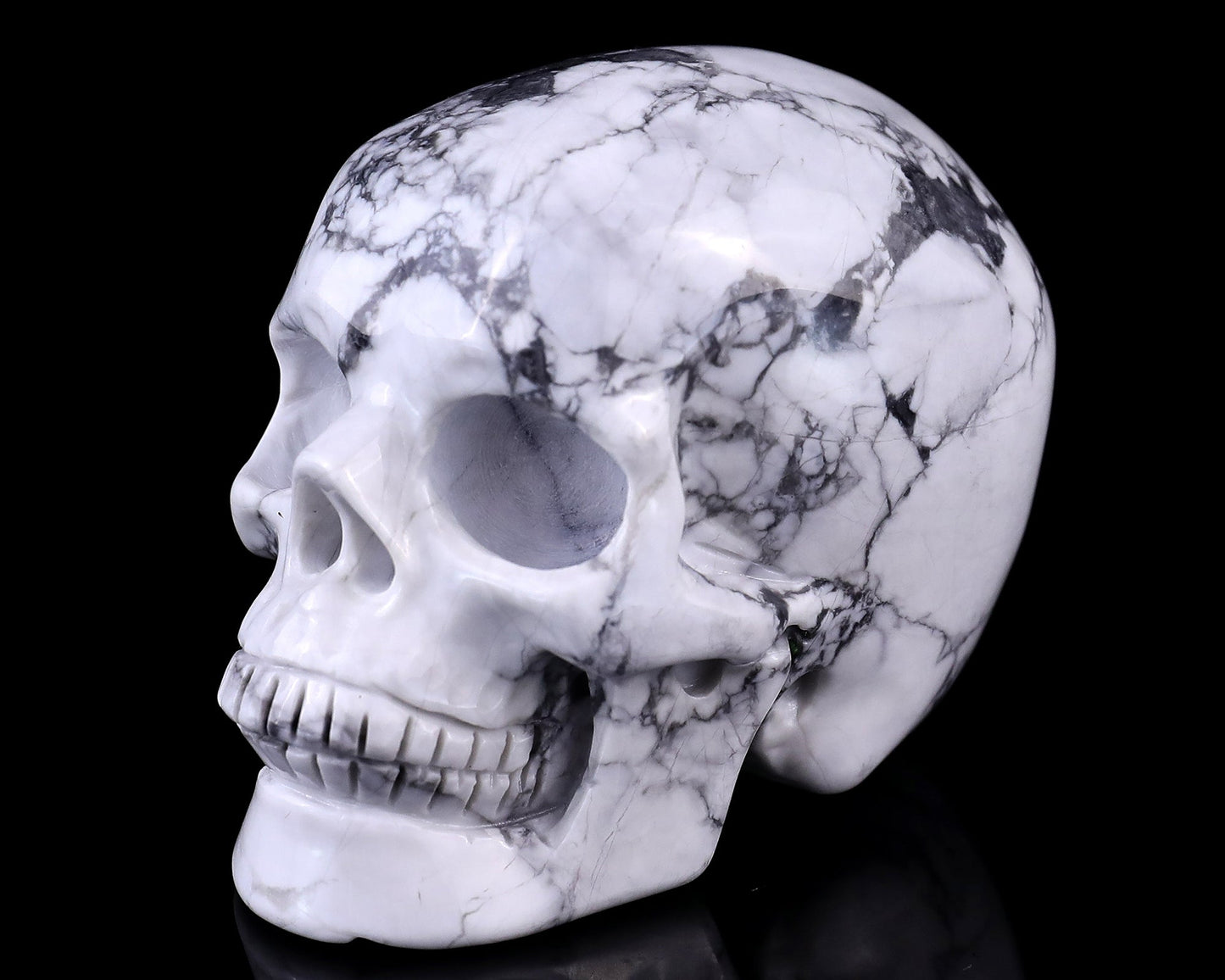 Nicedony 3.0" Howlite Hand Carved Crystal Realistic Skull Sculpture - View 7