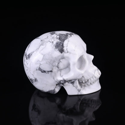 Nicedony 3.0" Howlite Hand Carved Crystal Realistic Skull Sculpture - View 10