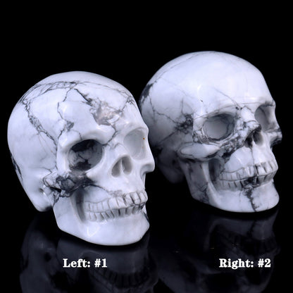 Nicedony 3.0" Howlite Hand Carved Crystal Realistic Skull Sculpture - View 16
