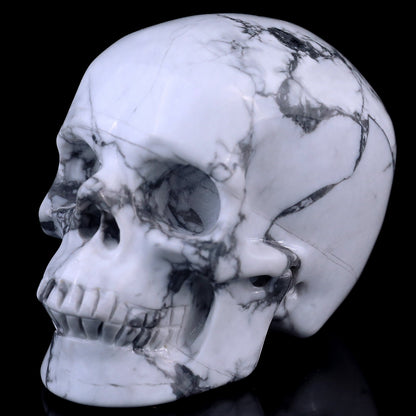 Nicedony 3.0" Howlite Hand Carved Crystal Realistic Skull Sculpture - View 15