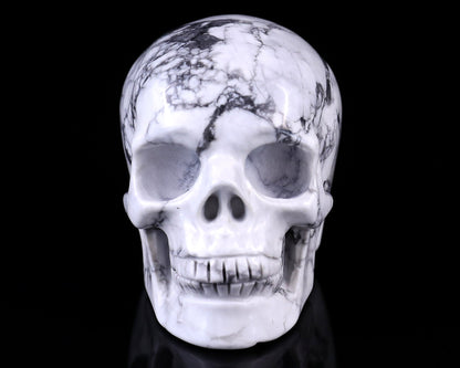 Nicedony 3.0" Howlite Hand Carved Crystal Realistic Skull Sculpture - #2100044