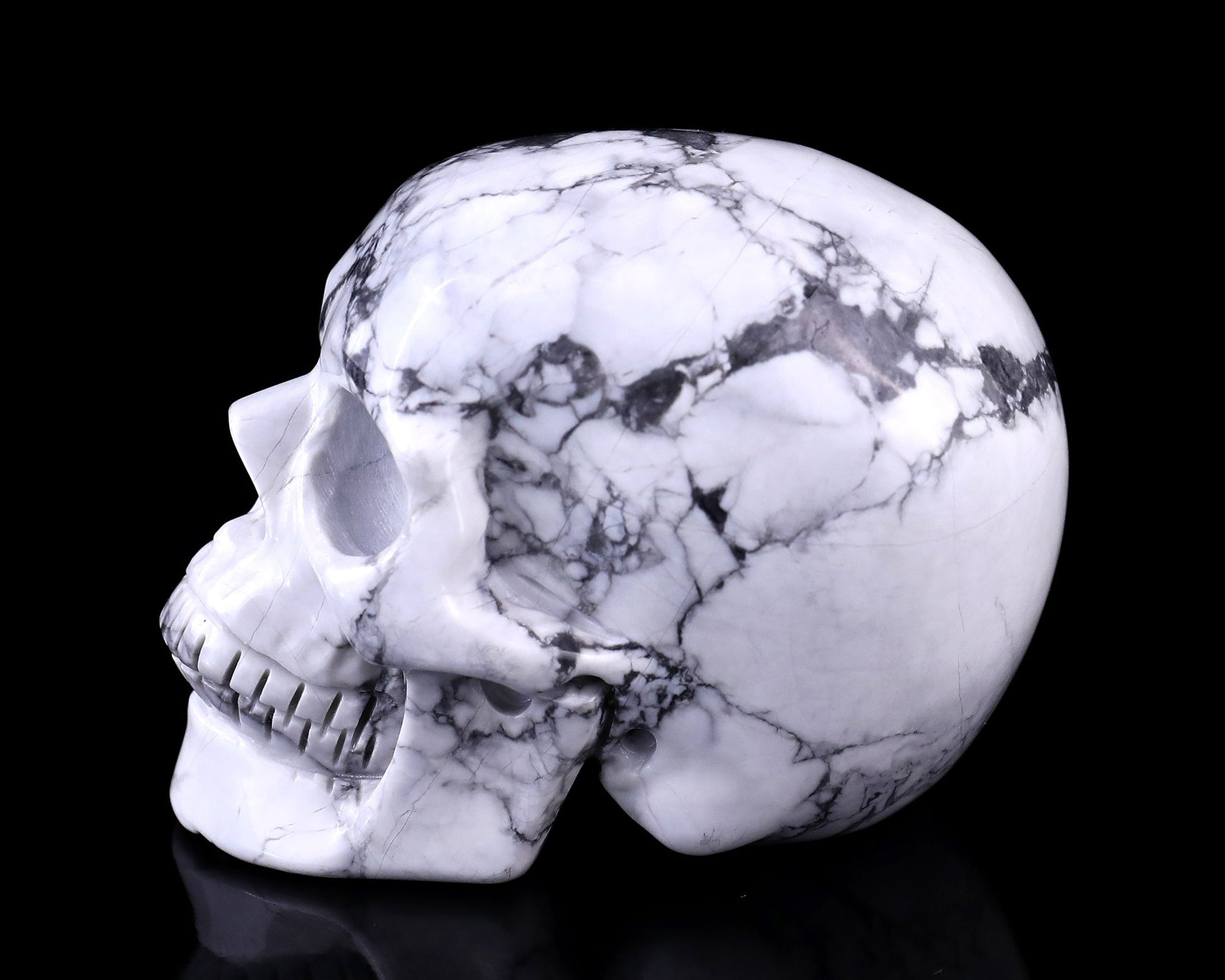 Nicedony 3.0" Howlite Hand Carved Crystal Realistic Skull Sculpture - View 4