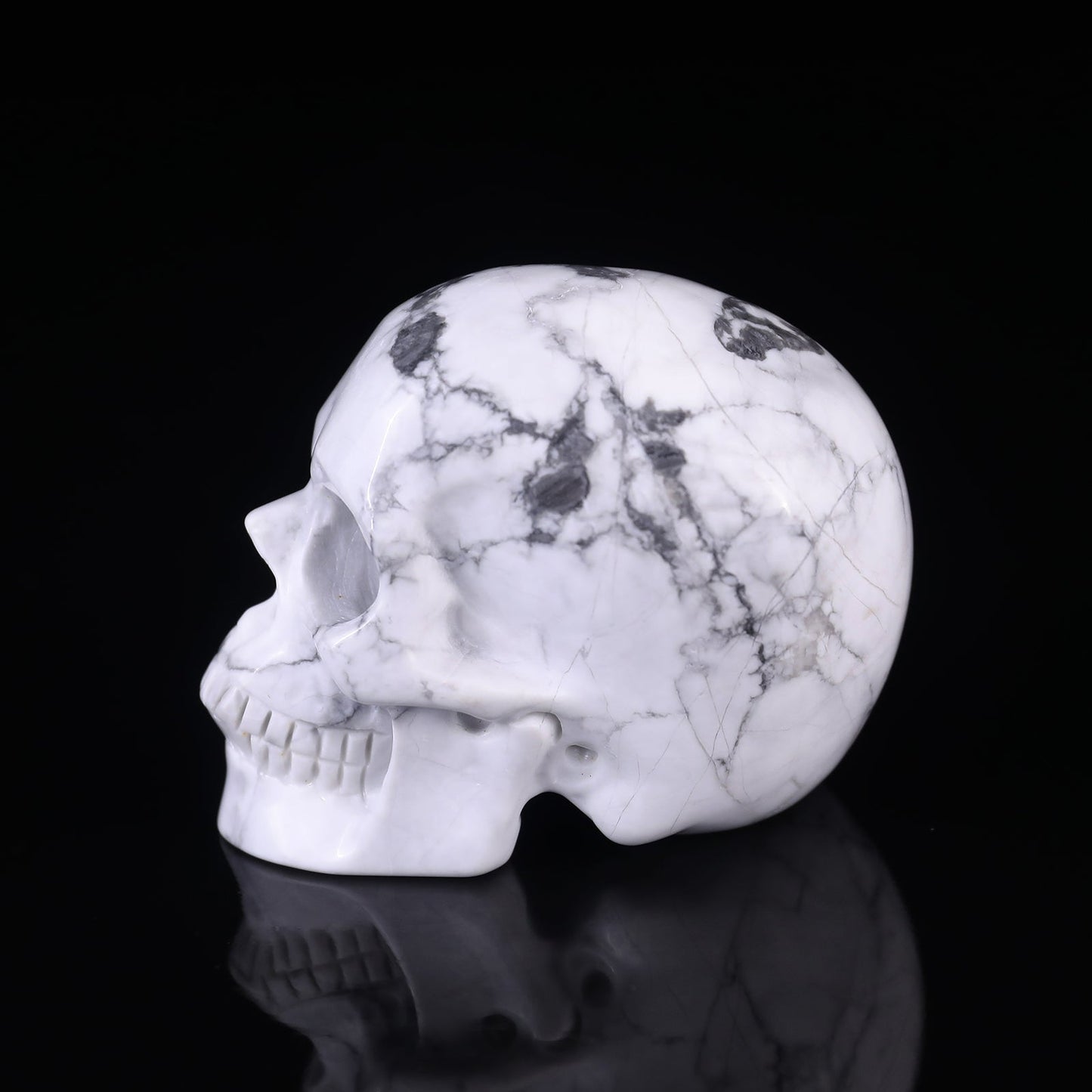 Nicedony 3.0" Howlite Hand Carved Crystal Realistic Skull Sculpture - View 11