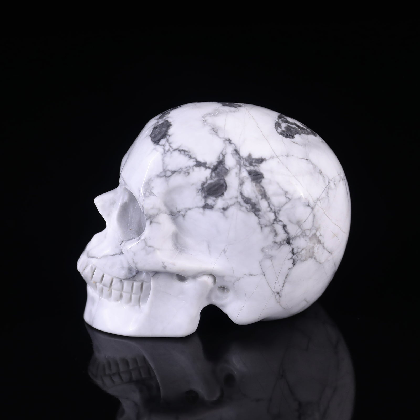 Nicedony 3.0" Howlite Hand Carved Crystal Realistic Skull Sculpture - View 11