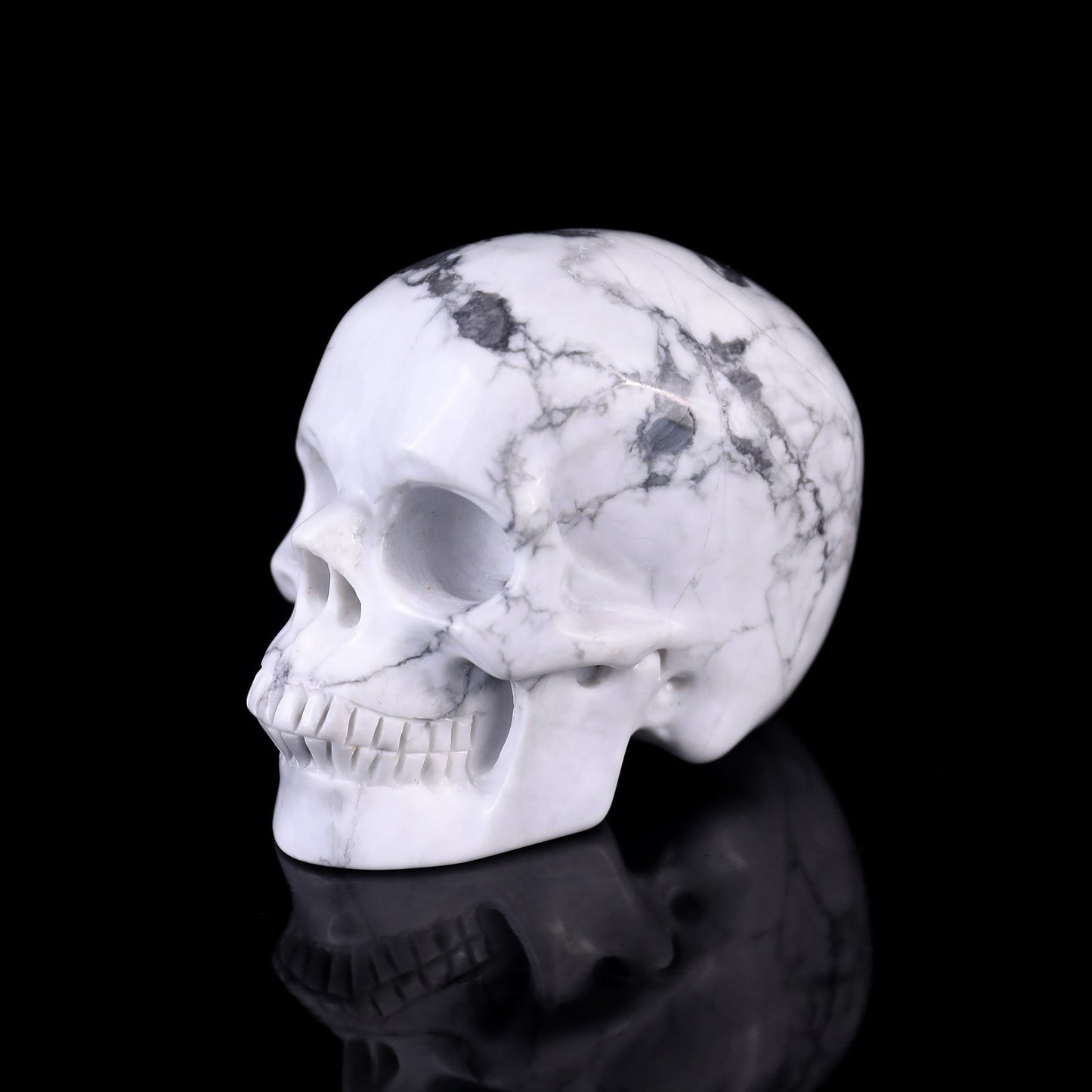 Nicedony 3.0" Howlite Hand Carved Crystal Realistic Skull Sculpture - View 14