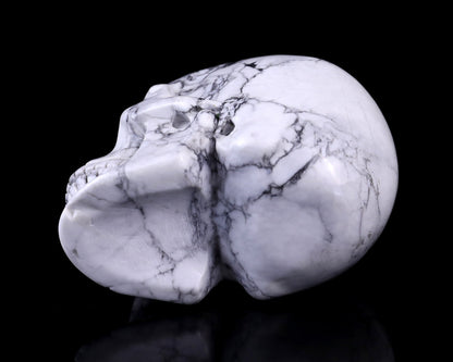 Nicedony 3.0" Howlite Hand Carved Crystal Realistic Skull Sculpture - View 6