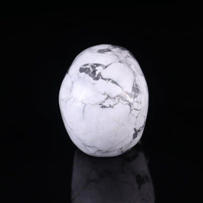 Nicedony 3.0" Howlite Hand Carved Crystal Realistic Skull Sculpture - View 12
