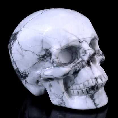 Nicedony 3.0" Howlite Hand Carved Crystal Realistic Skull Sculpture - View 23