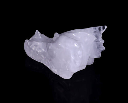 Nicedony 3.1" Angolan Quartz Hand Carved Dragon Skull Sculpture - View 6