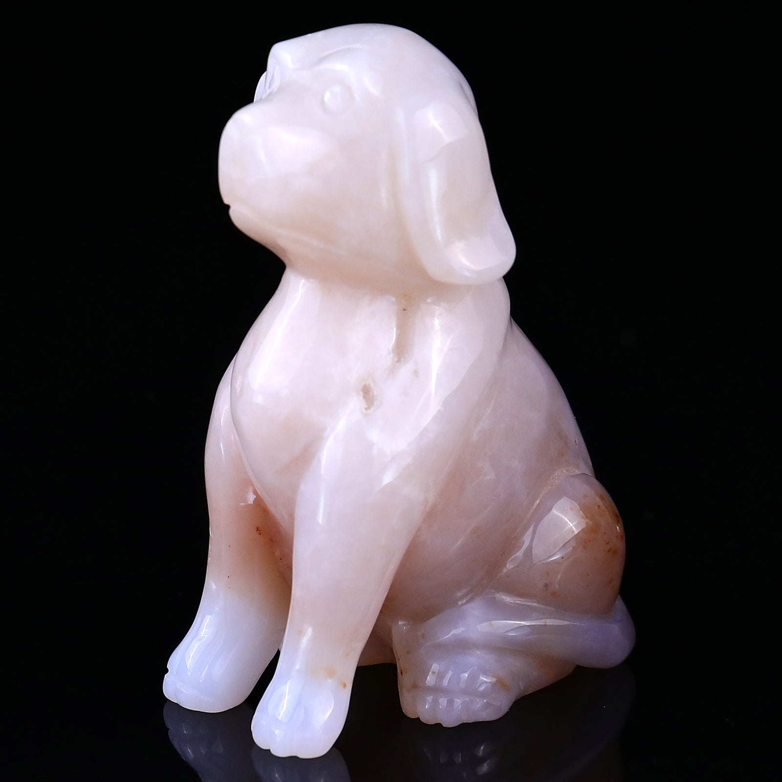 Nicedony 3.1" Blue Chalcedony Hand Carved Crystal Dog Sculpture - View 11