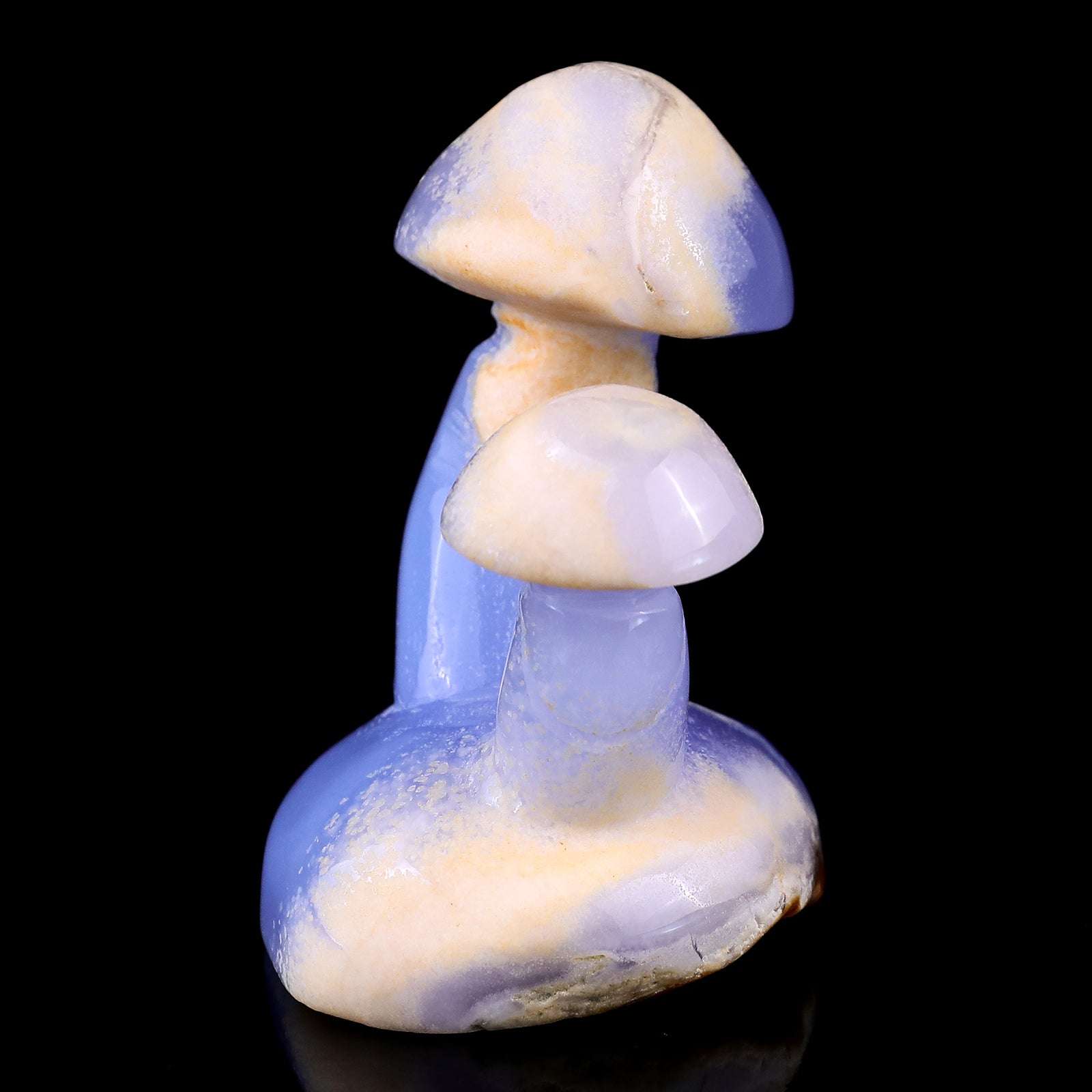 Nicedony 3.1" Blue Chalcedony Hand Carved Crystal Mushrooms Sculpture - View 5