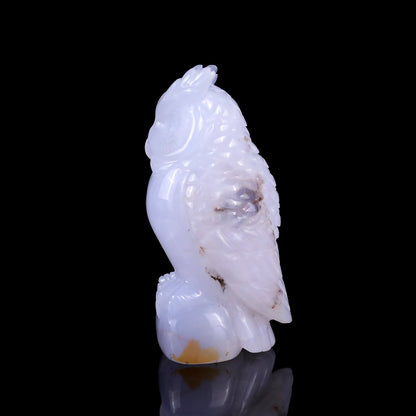 Nicedony 3.1" Blue Chalcedony Hand Carved Crystal Owl Sculpture - View 11