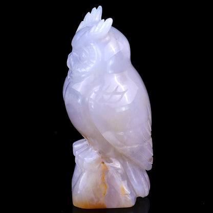 Nicedony 3.1" Blue Chalcedony Hand Carved Crystal Owl Sculpture - View 4
