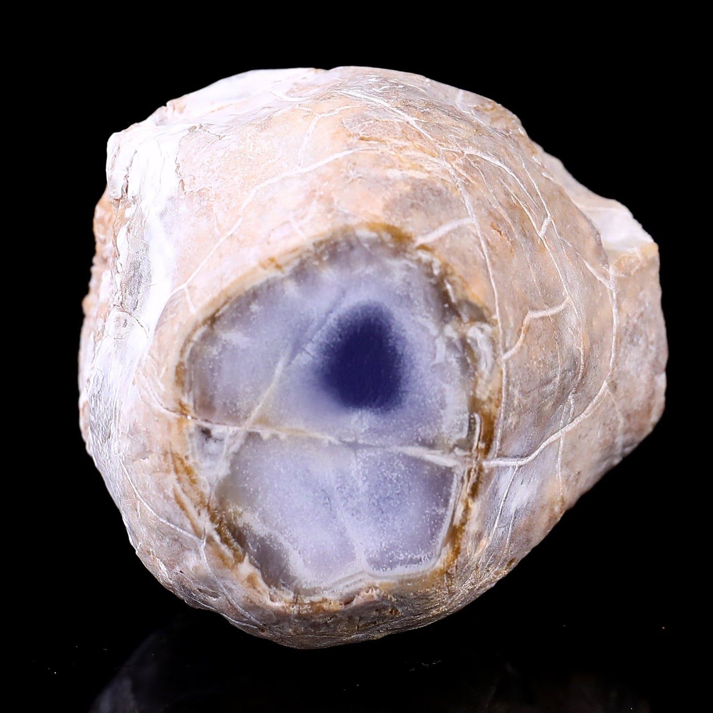 Nicedony 3.1" Blue Chalcedony Hand Carved Crystal Polished Point - View 6