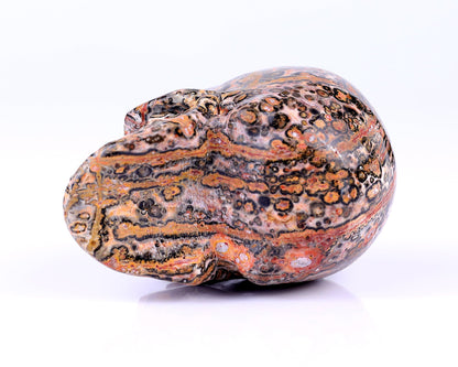 Nicedony 3.1" Leopard Skin Jasper Hand Carved Realistic Skull - View 5