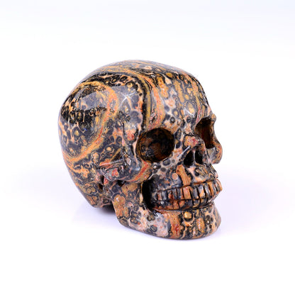 Nicedony 3.1" Leopard Skin Jasper Hand Carved Realistic Skull - View 8