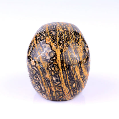 Nicedony 3.1" Leopard Skin Jasper Hand Carved Realistic Skull - View 12