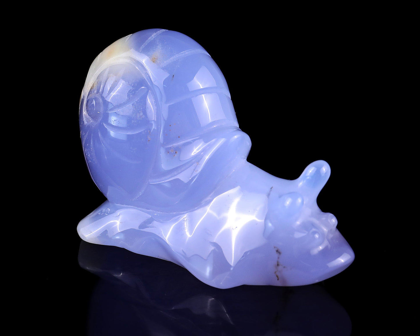 Nicedony 3.2" Blue Chalcedony Hand Carved Crystal Snail Sculpture