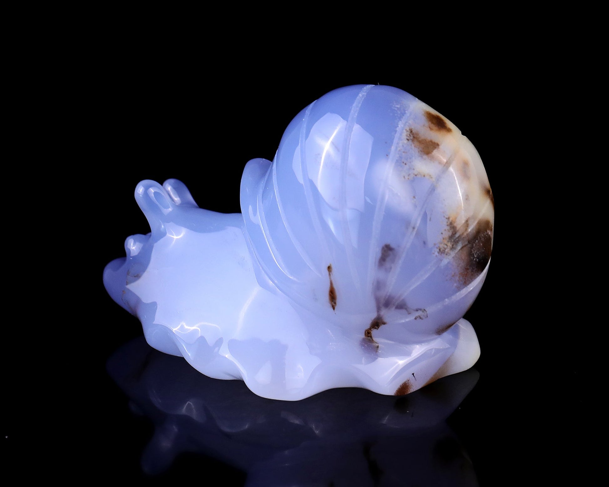 Nicedony 3.2" Blue Chalcedony Hand Carved Crystal Snail Sculpture - View 6