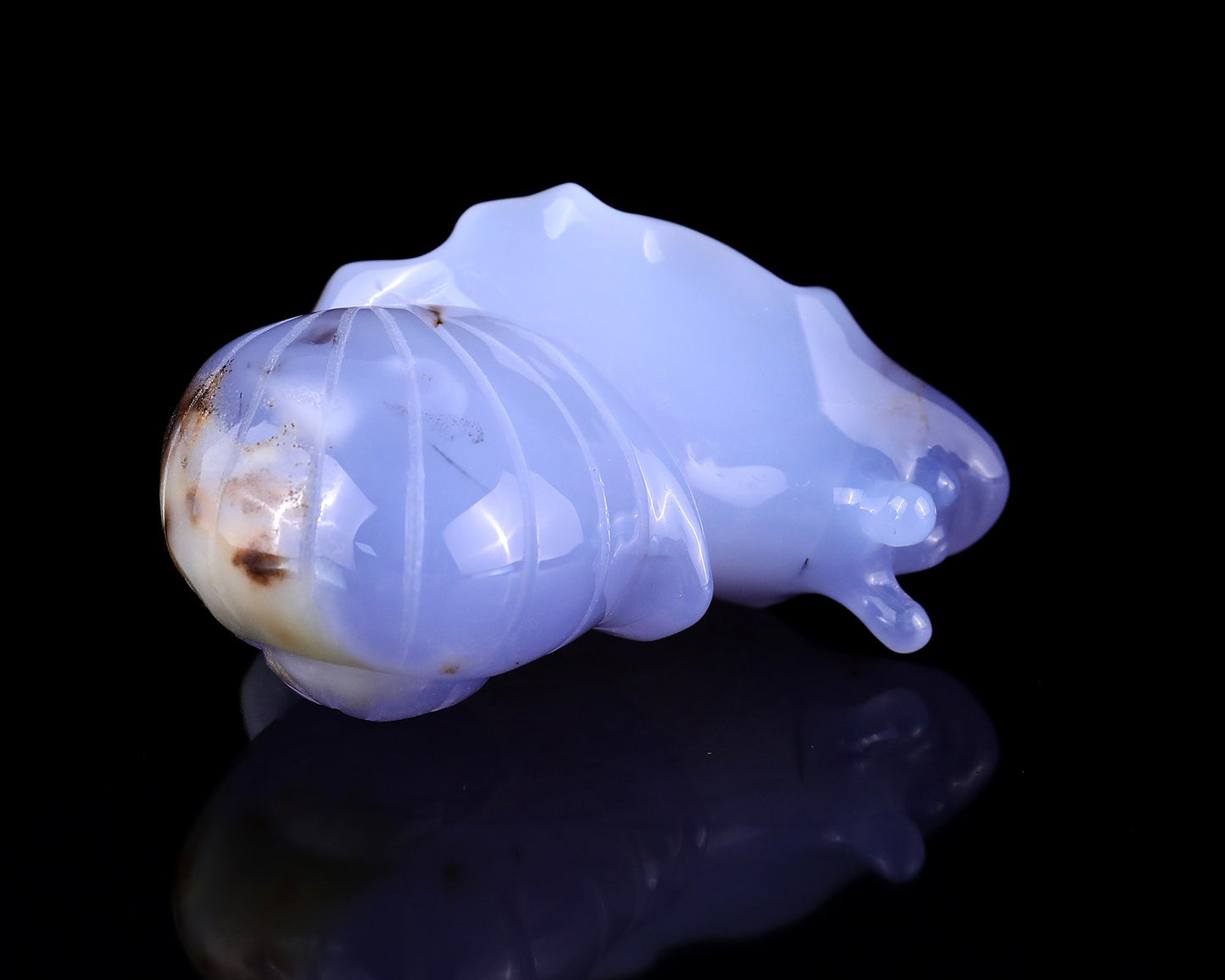 Nicedony 3.2" Blue Chalcedony Hand Carved Crystal Snail Sculpture - View 9