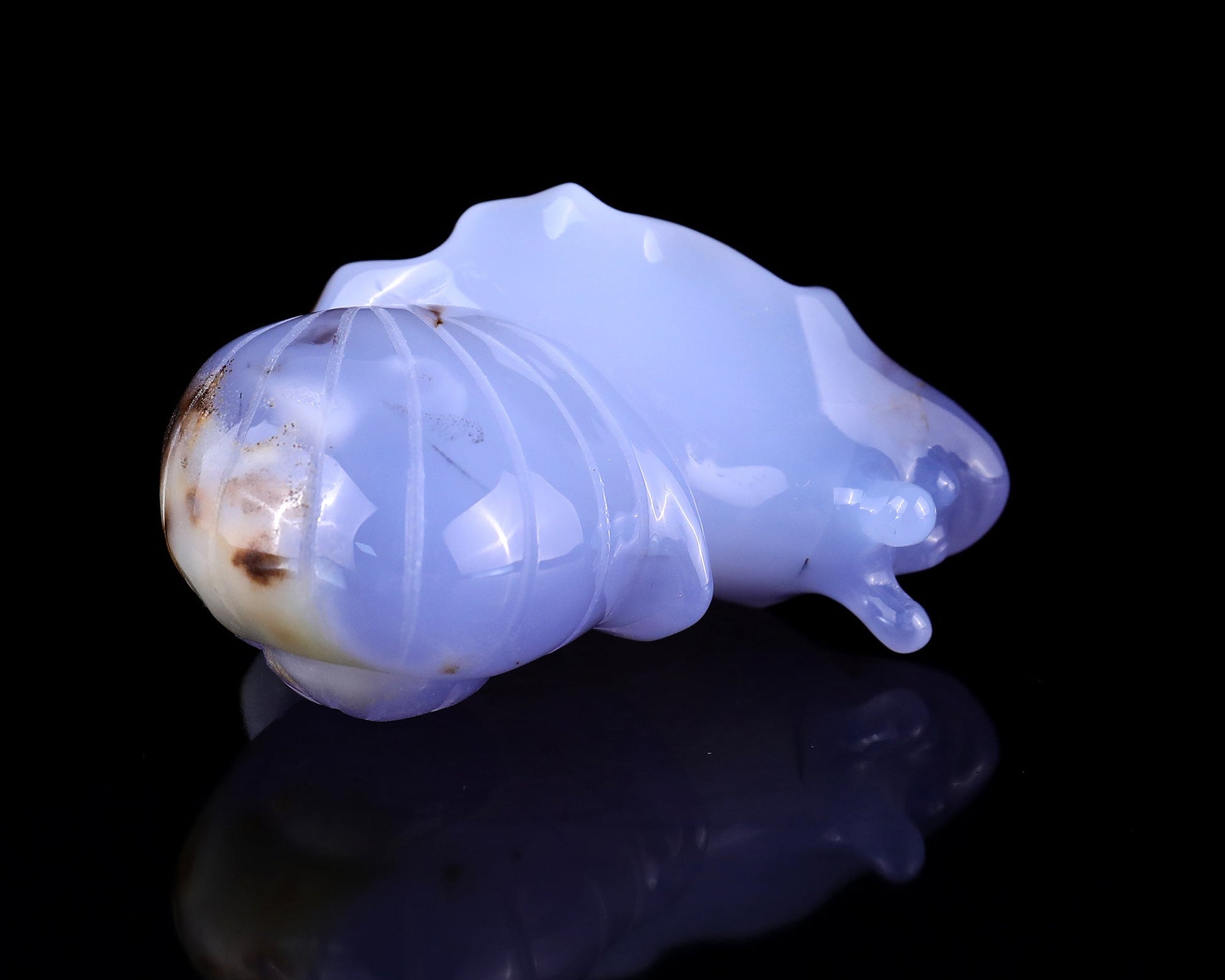 Nicedony 3.2" Blue Chalcedony Hand Carved Crystal Snail Sculpture - View 9
