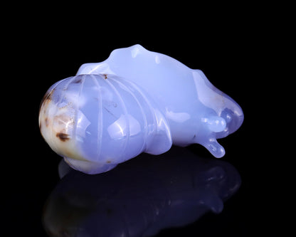 Nicedony 3.2" Blue Chalcedony Hand Carved Crystal Snail Sculpture - View 9