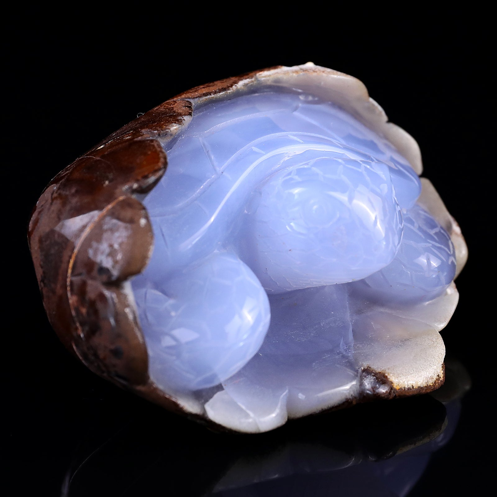 Nicedony 3.3" Blue Chalcedony Hand Carved Crystal Turtle Sculpture