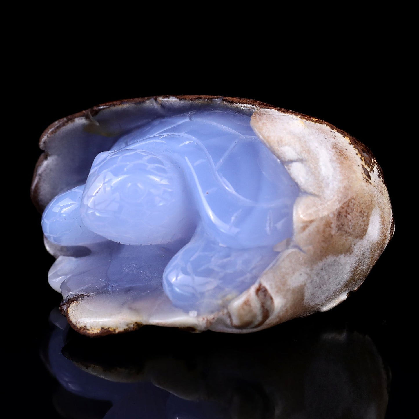 Nicedony 3.3" Blue Chalcedony Hand Carved Crystal Turtle Sculpture - View 7