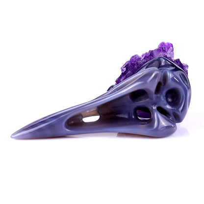 Nicedony 3.4" Amethyst Druse Agate Hand Carved Crystal Raven Skull Sculpture - View 6