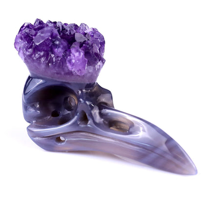 Nicedony 3.4" Amethyst Druse Agate Hand Carved Crystal Raven Skull Sculpture