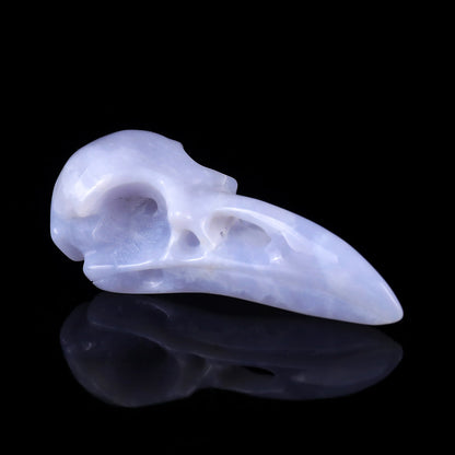 Nicedony 3.5" Blue Chalcedony Hand Carved Raven Skull Sculpture - 1
