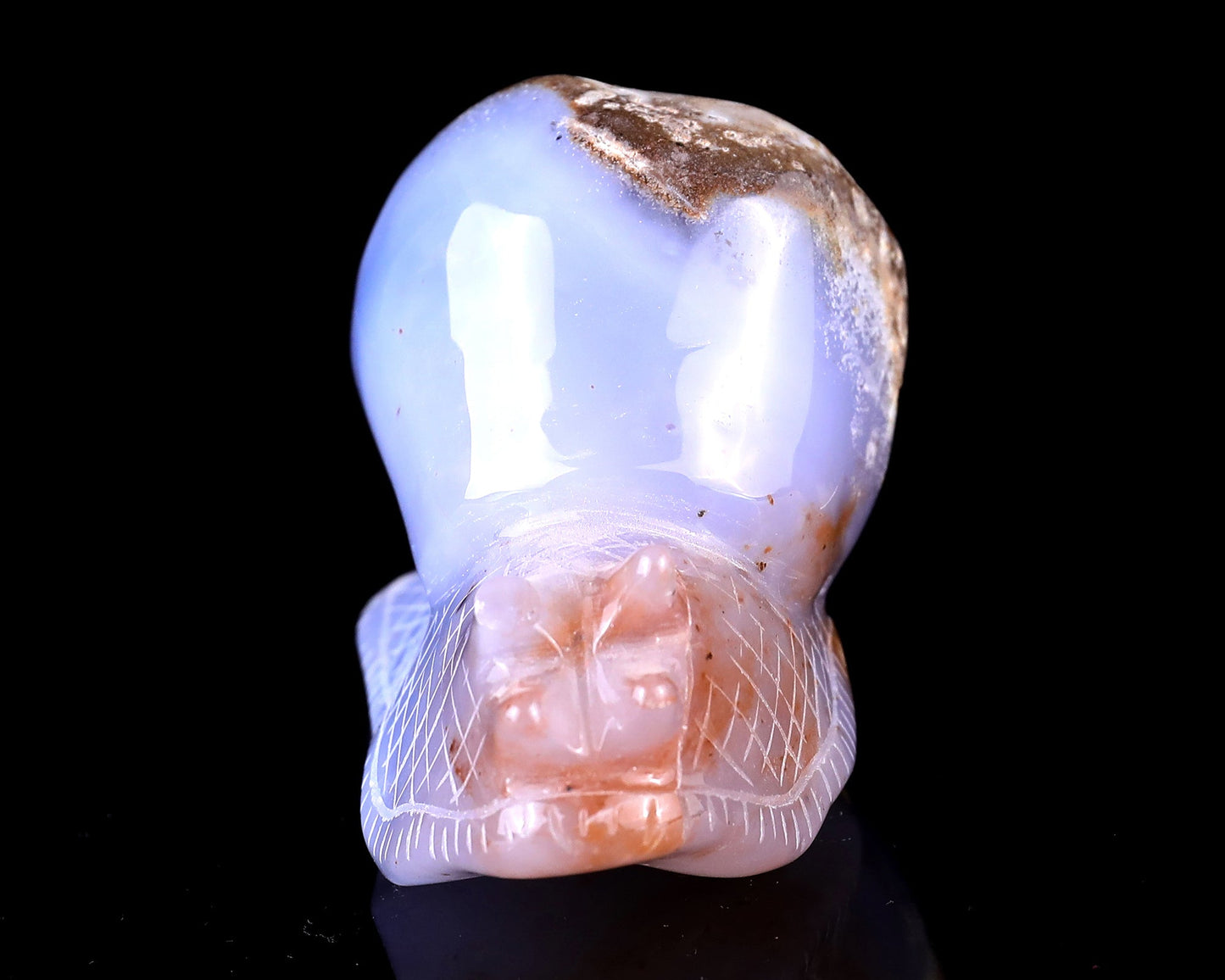 Nicedony 3.5" Blue Chalcedony Hand Carved Crystal Snail Sculpture - View 2
