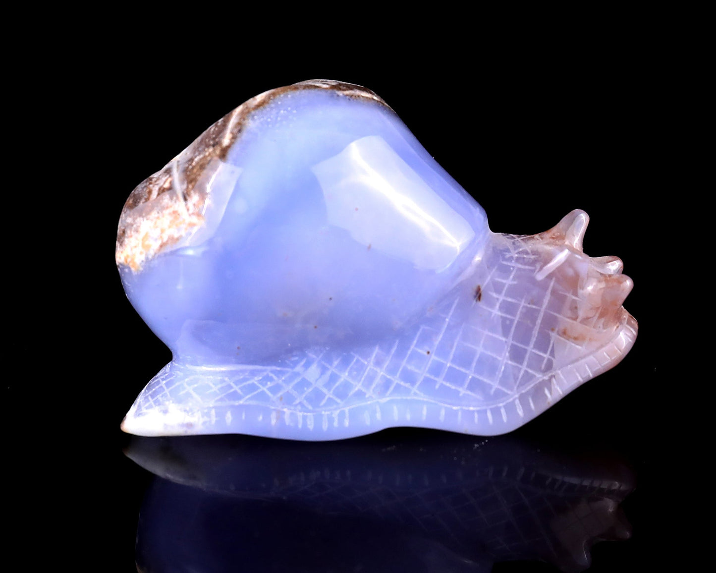 Nicedony 3.5" Blue Chalcedony Hand Carved Crystal Snail Sculpture - View 3